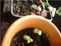 ee34fe04-Picture 010.jpg